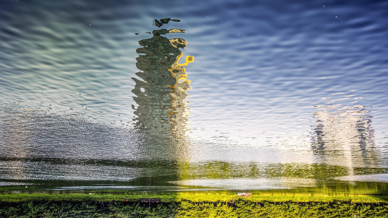 荷美名邸最新價(jià)格動(dòng)態(tài)，市場(chǎng)影響力與市場(chǎng)反應(yīng)分析