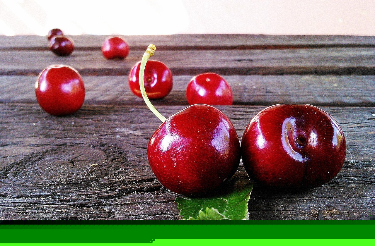 最新桃樹品種種植探索與品種介紹