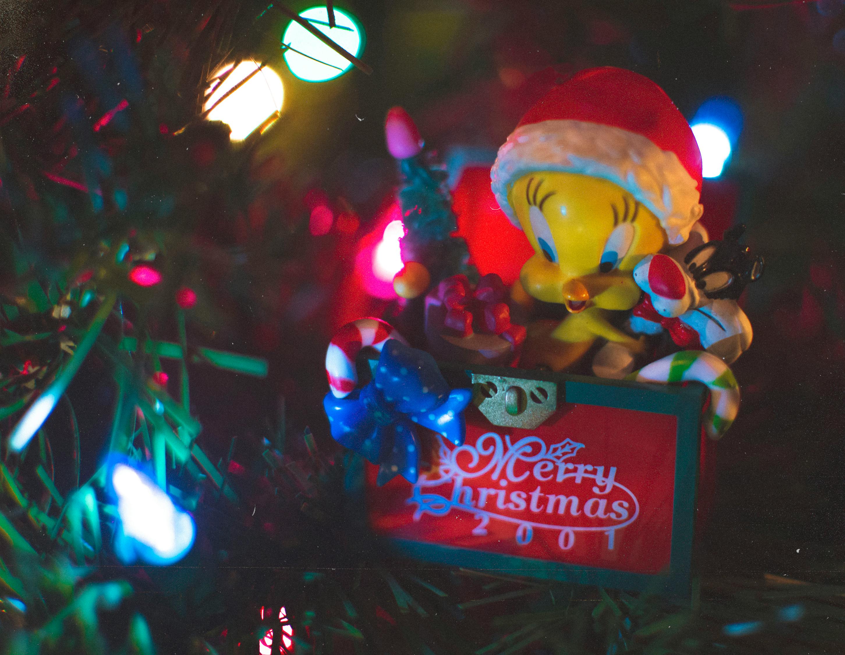 探索璀璨星空魅力的動(dòng)漫人物之旅