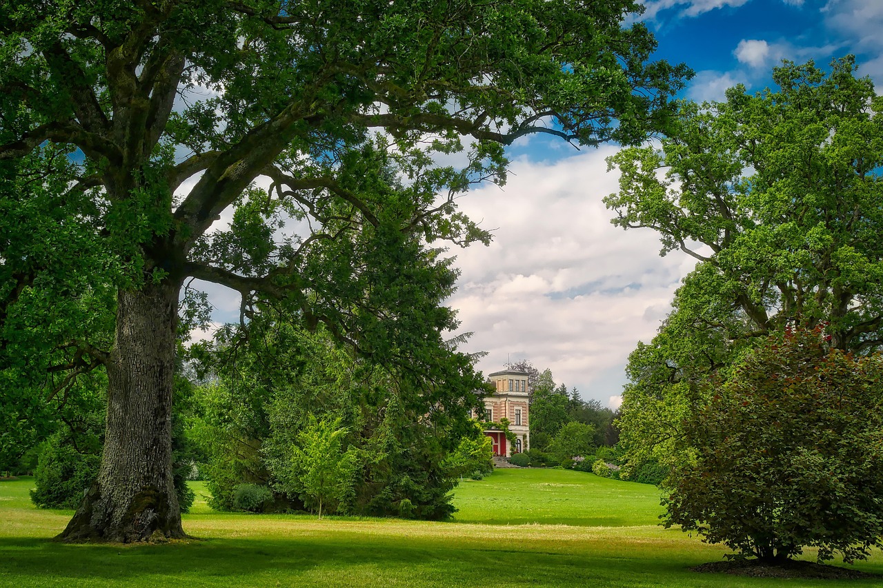 吳橋萬宏豪庭最新動(dòng)態(tài)，未來繁華生活即將揭曉