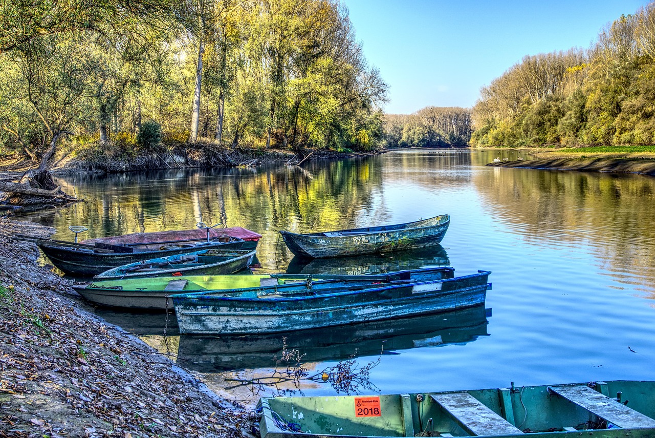 魯銀投資最新消息全面解析與動態(tài)速遞