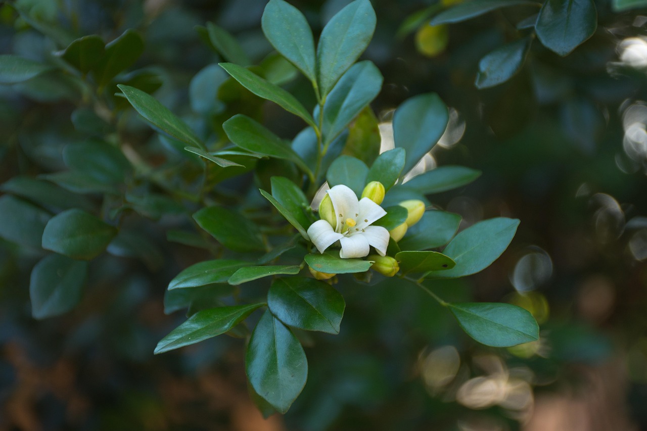 全球地震活動(dòng)最新動(dòng)態(tài)，今日地震新聞更新與應(yīng)對(duì)策略