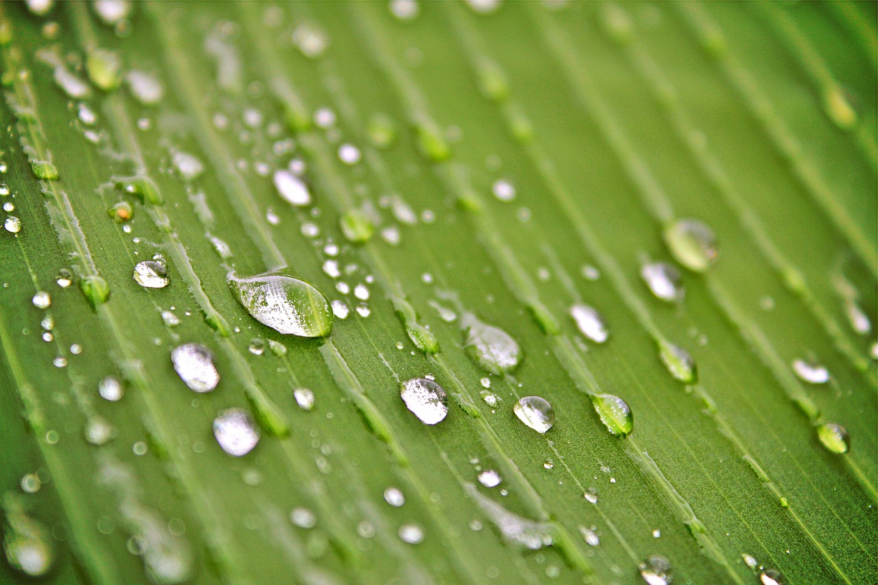 美酒客資訊更新，探索酒的世界，掌握最新動(dòng)態(tài)