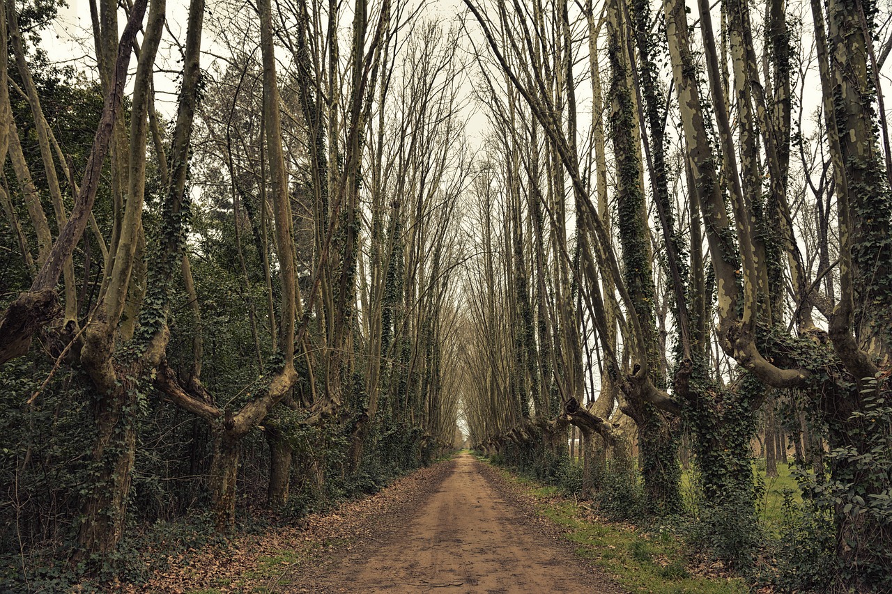 黔渝高鐵最新動(dòng)態(tài)及線路深度探析