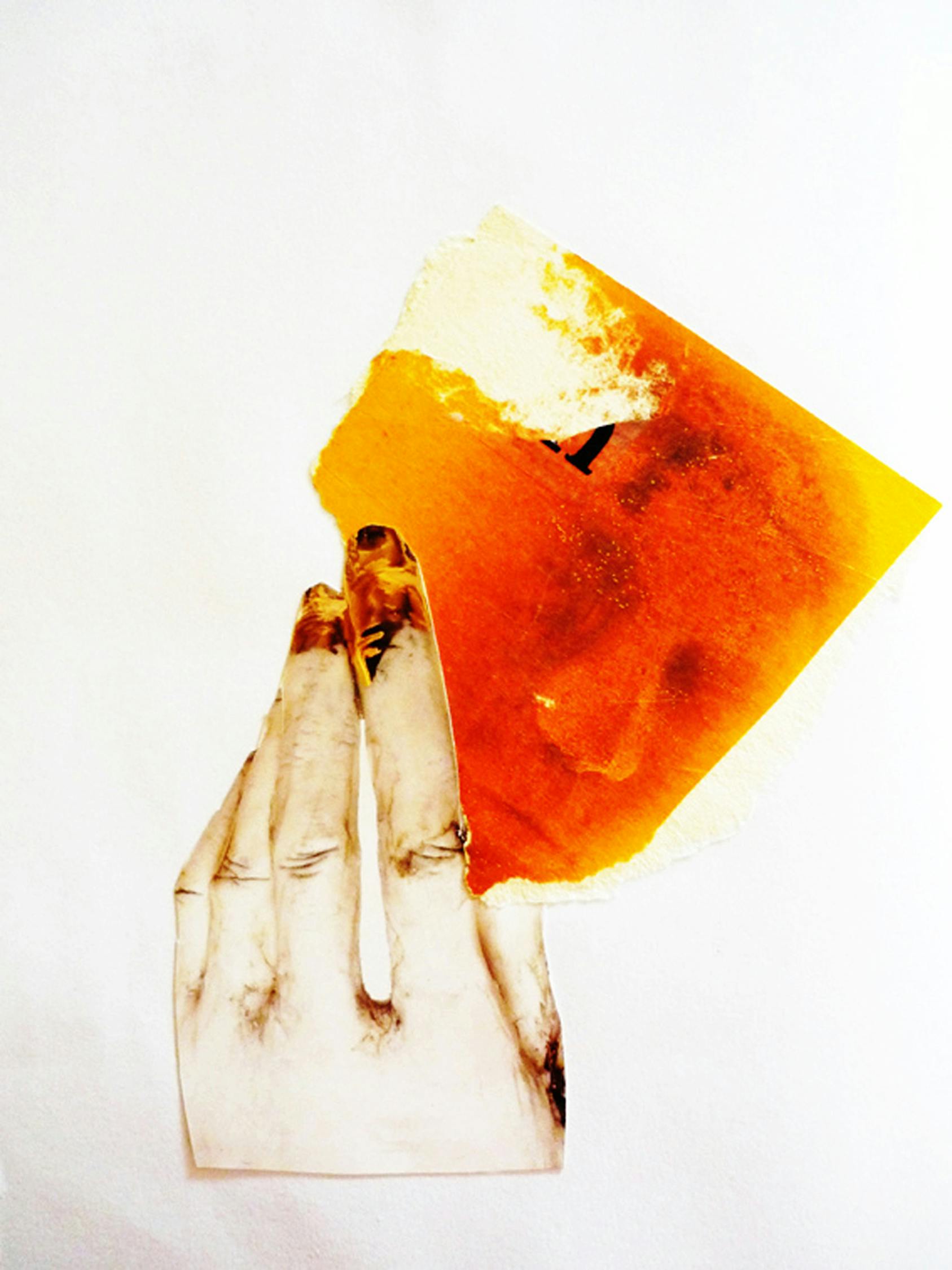 金鄉(xiāng)今日大蒜行情價(jià)格詳解，最新行情分析與市場(chǎng)動(dòng)態(tài)標(biāo)題建議僅供參考，具體需要根據(jù)內(nèi)容進(jìn)一步調(diào)整優(yōu)化。