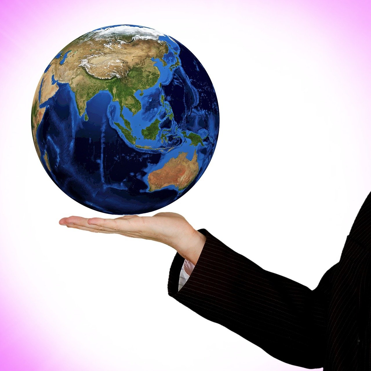 鮑魚(yú)價(jià)格走勢(shì)分析，市場(chǎng)趨勢(shì)、影響因素與未來(lái)預(yù)測(cè)