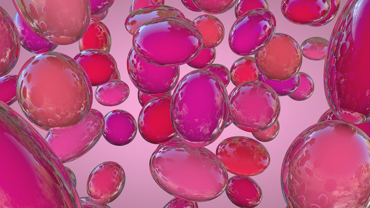 最新光影動(dòng)態(tài)，探索電影藝術(shù)的創(chuàng)新領(lǐng)域