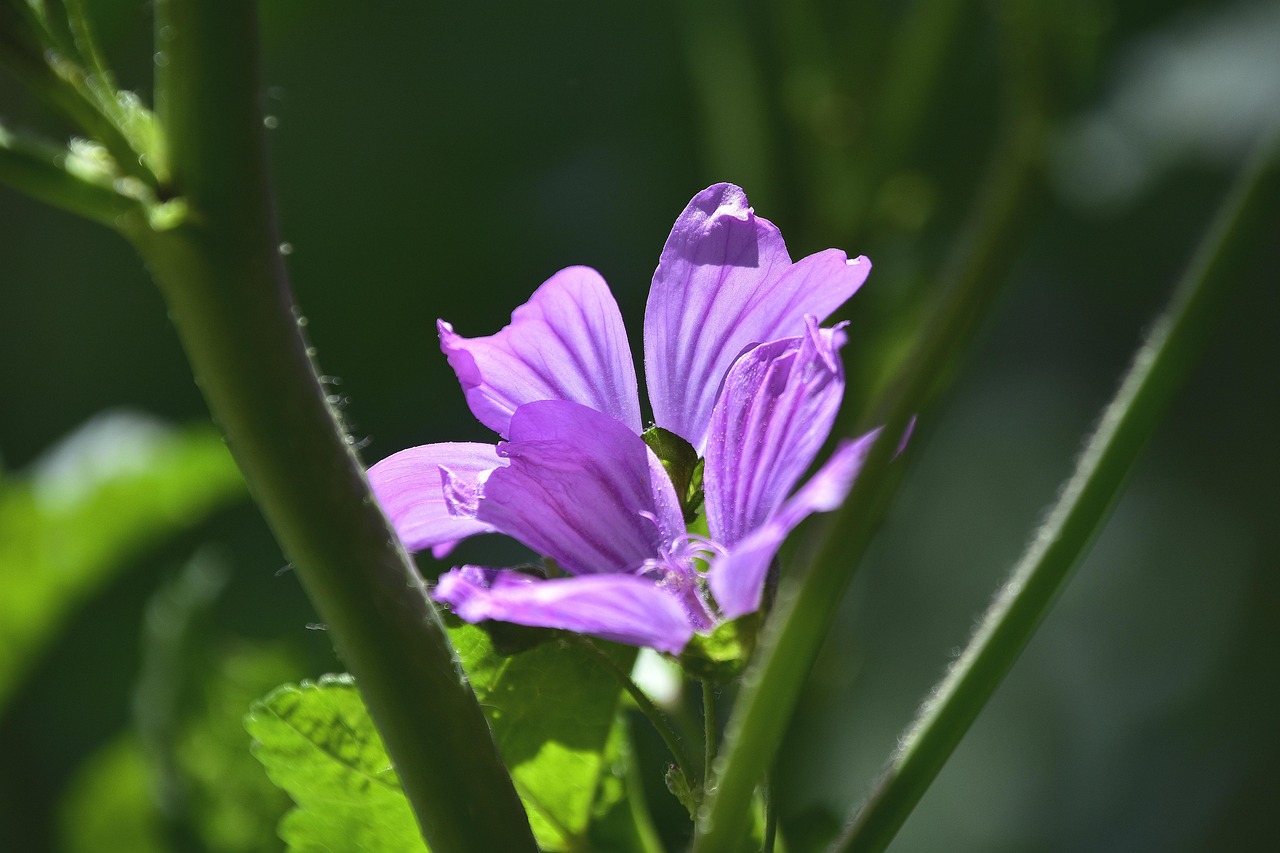 港毒動(dòng)態(tài)揭秘，捍衛(wèi)正義，揭示真相之戰(zhàn)
