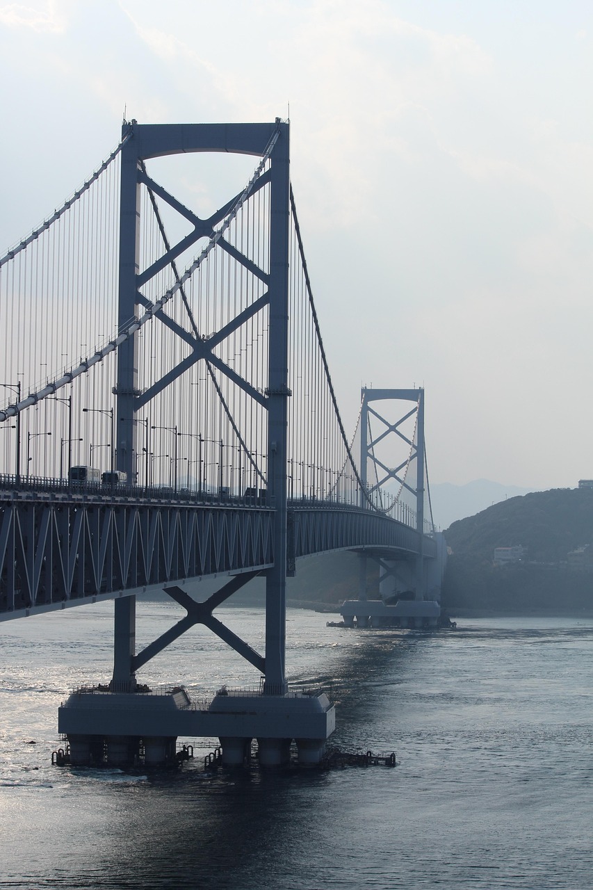 上市魚，海洋與市場的橋梁紐帶