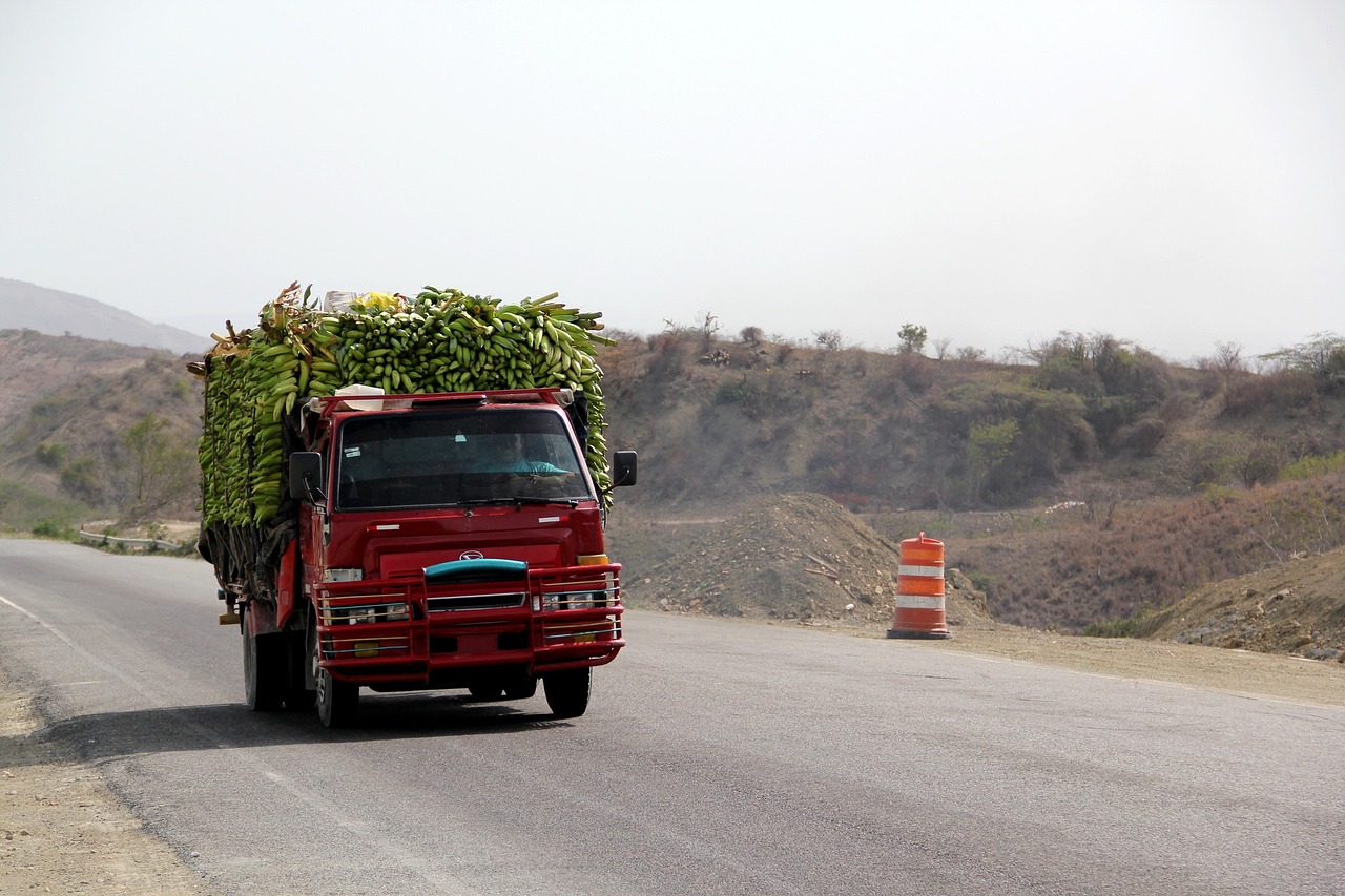 新疆拜城縣蓬勃發(fā)展新篇章的最新動態(tài)