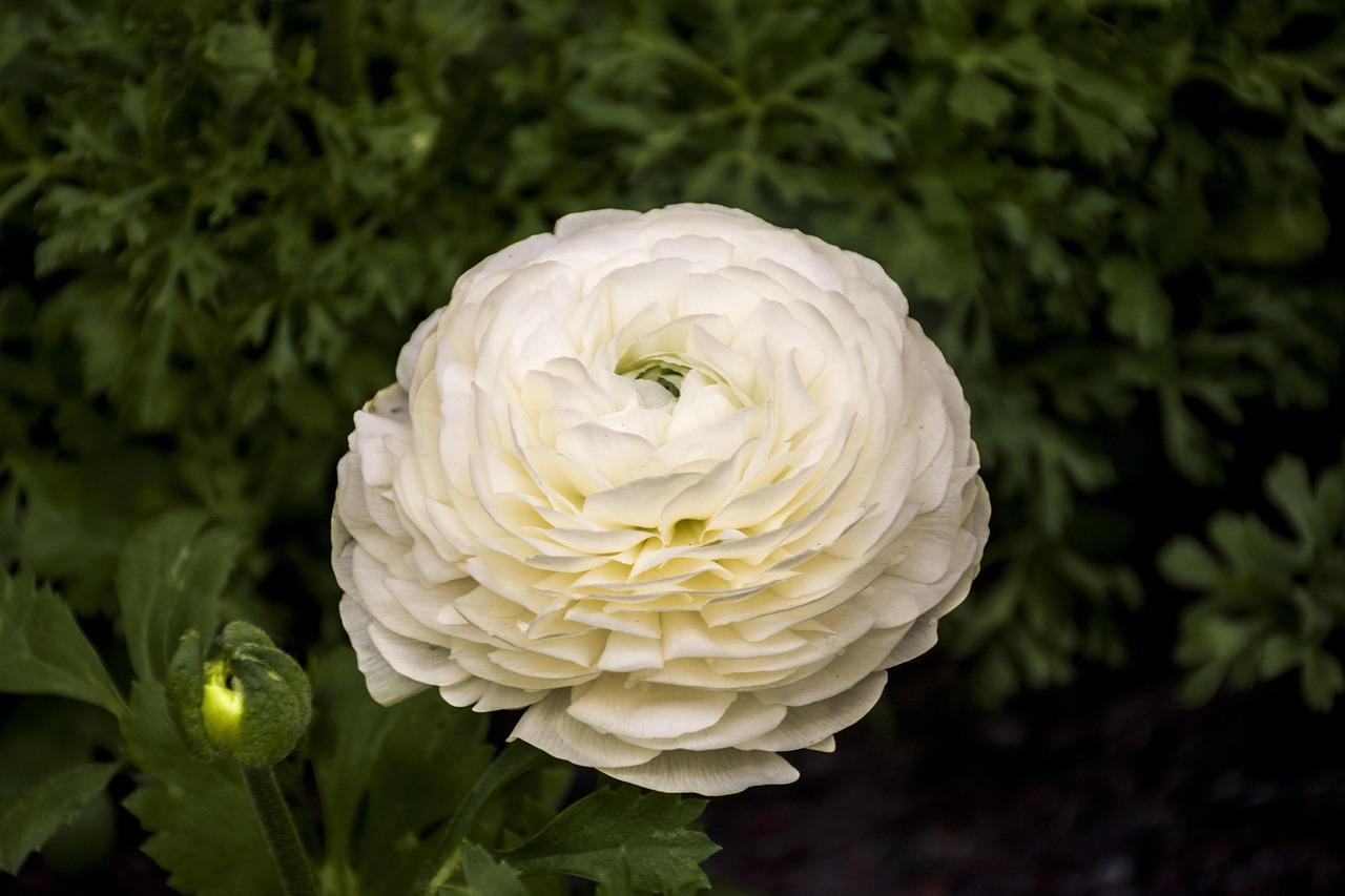 赫山區(qū)人事任免信息詳解及最新動(dòng)態(tài)分析