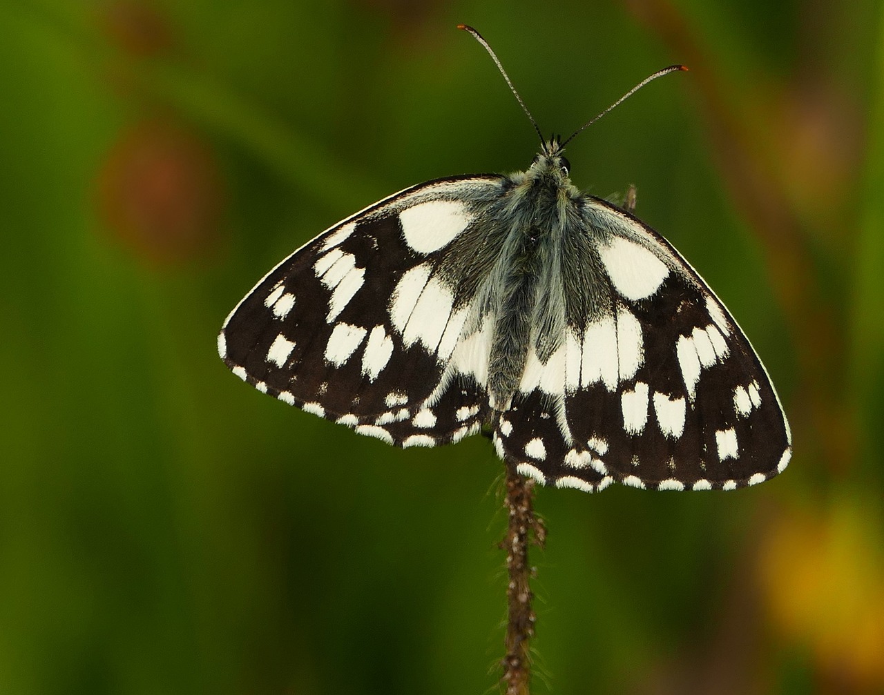 南海濱江一號(hào)最新價(jià)格動(dòng)態(tài)，市場(chǎng)影響力與市場(chǎng)反應(yīng)