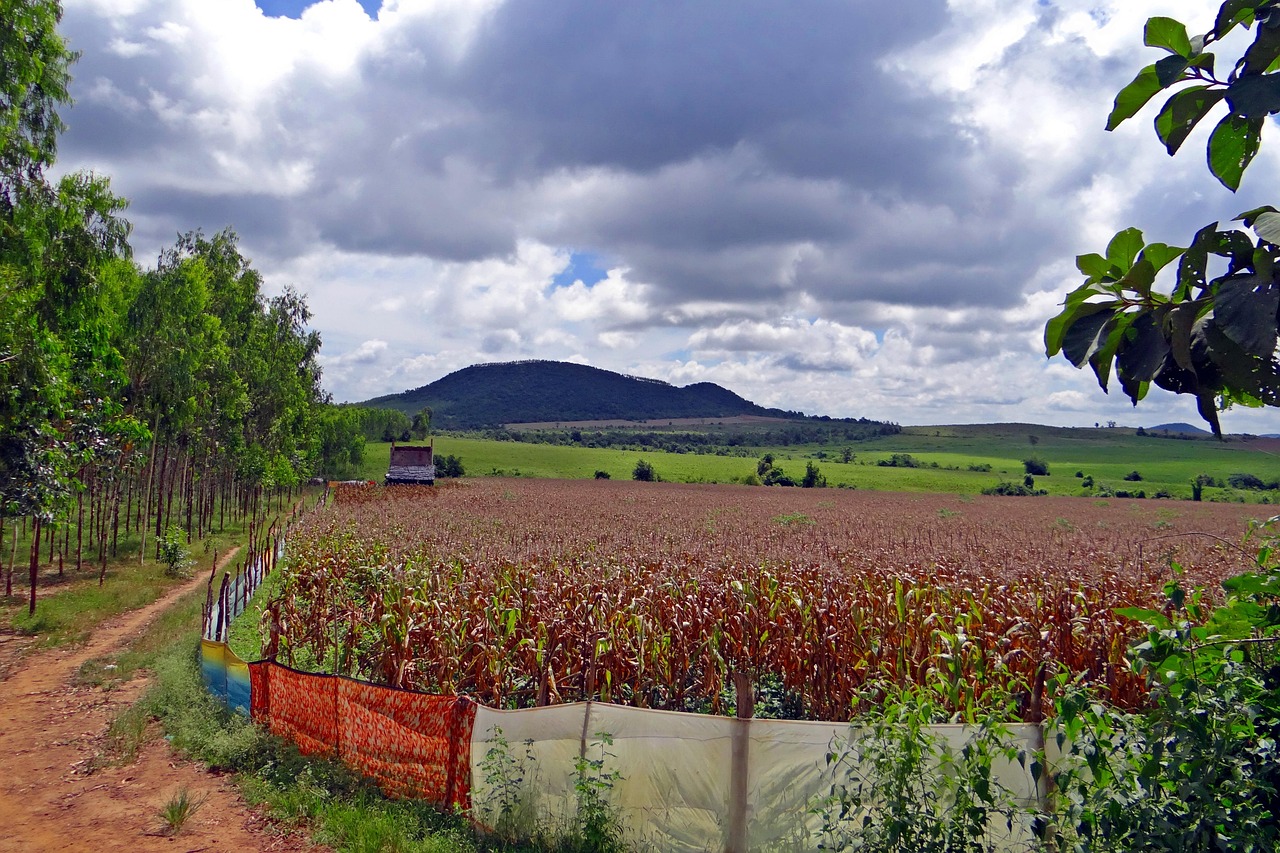 武清北運(yùn)河改造最新進(jìn)展，重塑生態(tài)景觀，推動(dòng)區(qū)域發(fā)展提速標(biāo)題建議，武清北運(yùn)河改造進(jìn)展更新，生態(tài)景觀重塑助力區(qū)域發(fā)展飛躍。