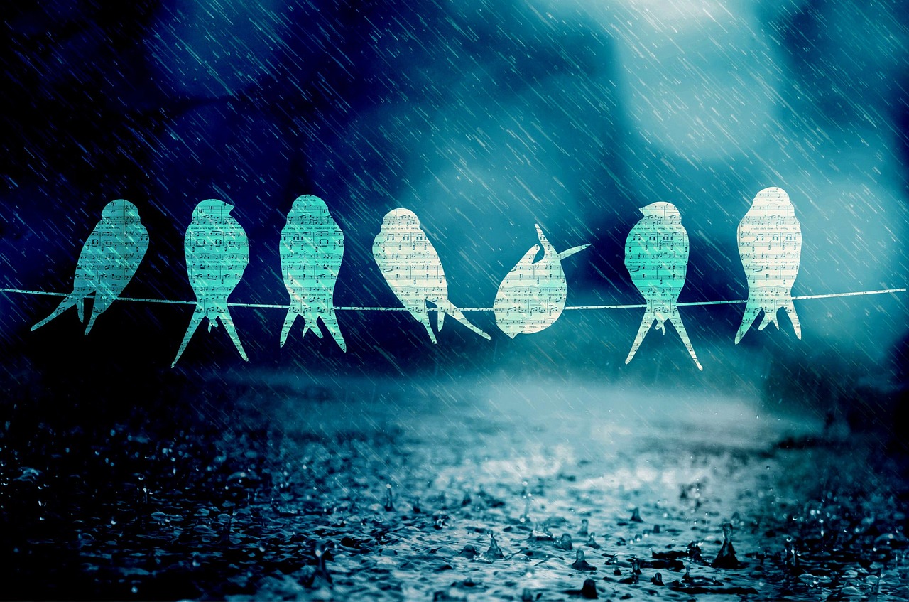 夢圓何方全集，探尋人生價值與夢想之旅