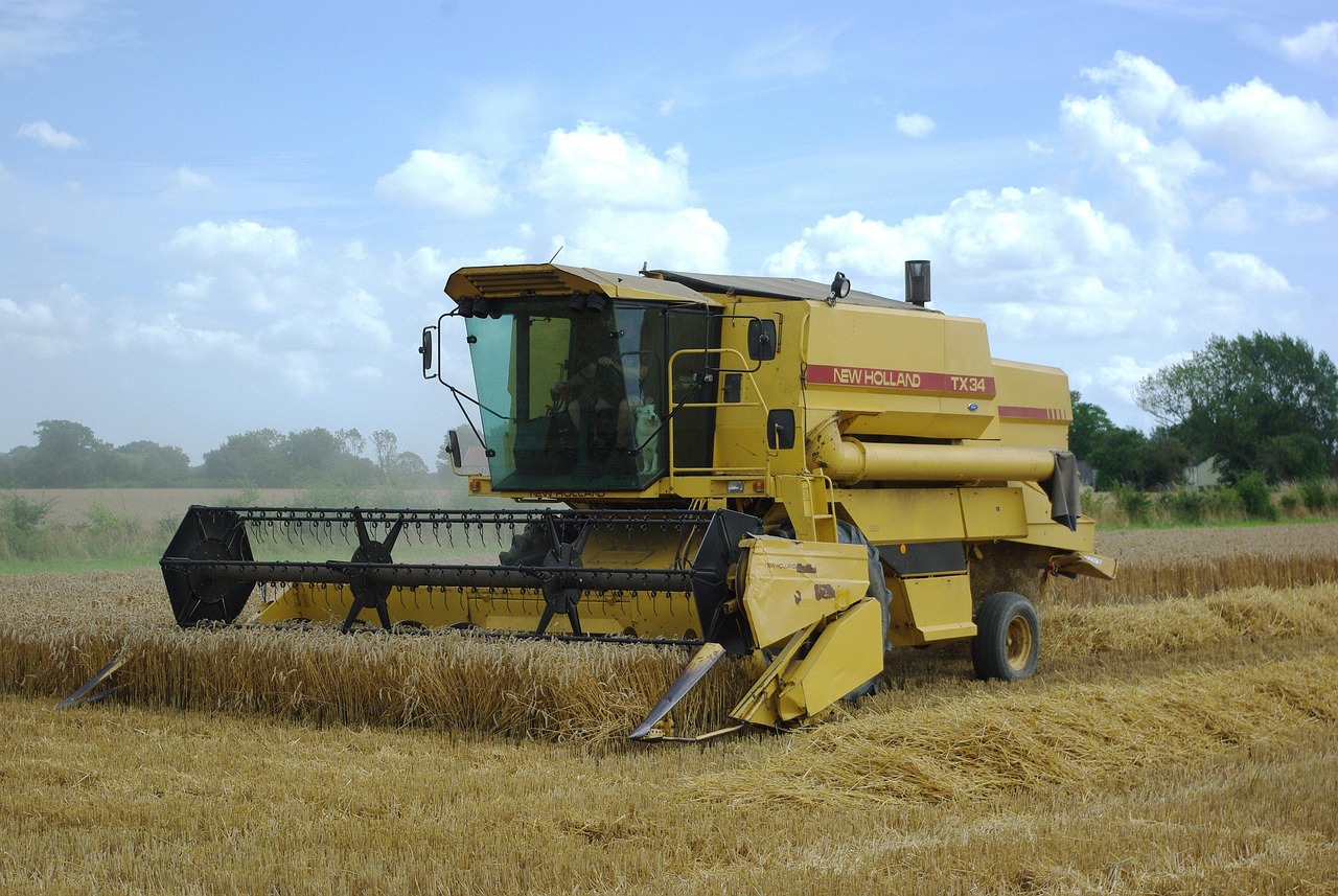 最新米制技術(shù)引領(lǐng)糧食加工行業(yè)邁入新紀(jì)元