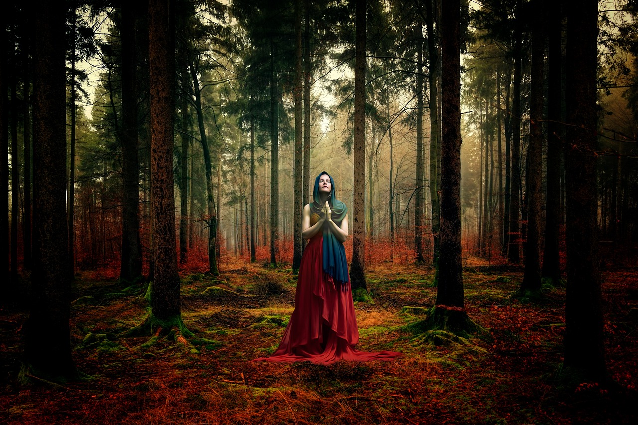 秋日新梗揭曉，探索季節(jié)奧秘與驚喜的旅程