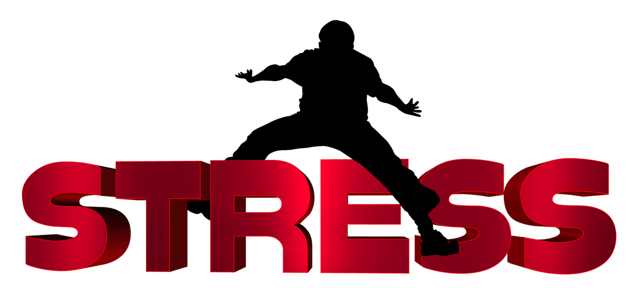 無(wú)挑資訊，探索信息的無(wú)限潛力