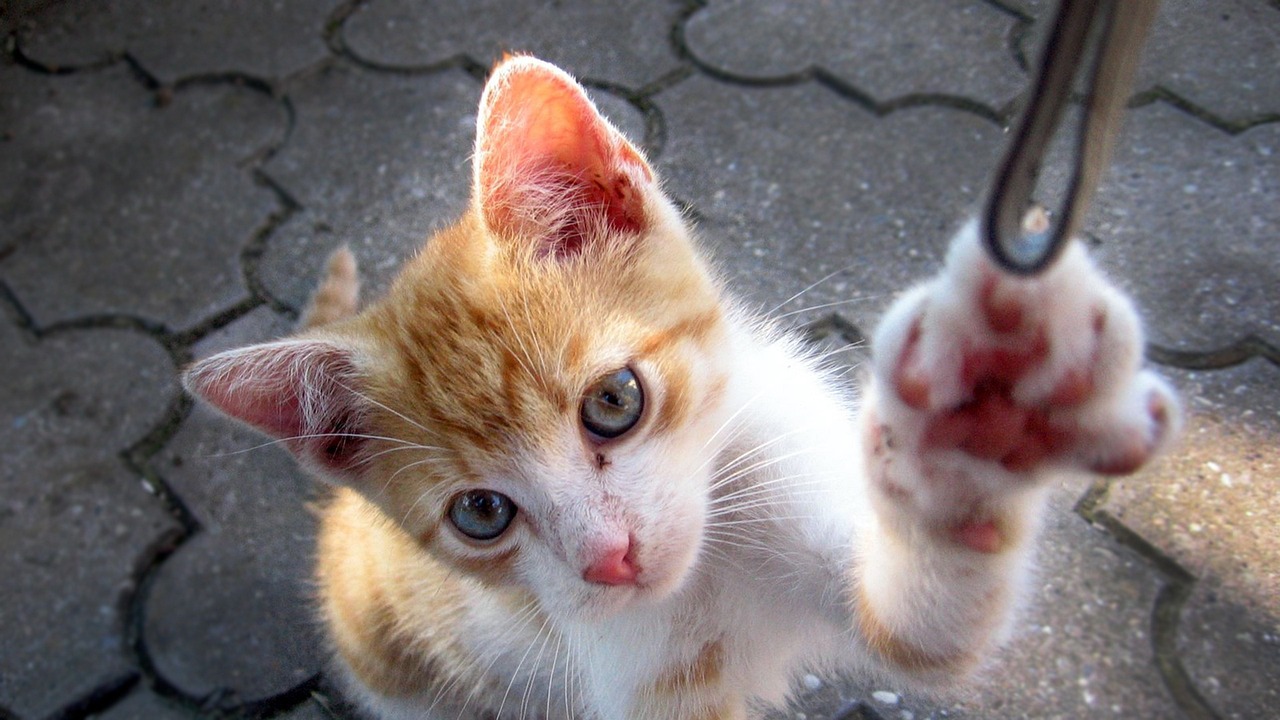 周建琨最新動(dòng)態(tài)，揭開(kāi)神秘面紗，開(kāi)啟新篇章