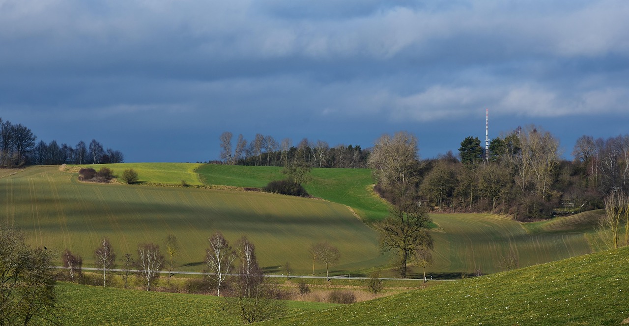 新農(nóng)開發(fā)股票行情分析（代碼，600359）最新動態(tài)及趨勢展望