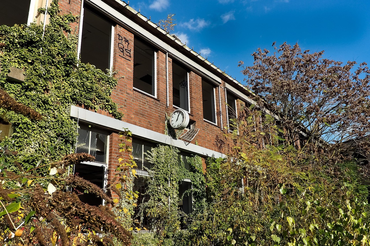 順德農(nóng)商行創(chuàng)新前行，服務(wù)升級，最新動態(tài)報道