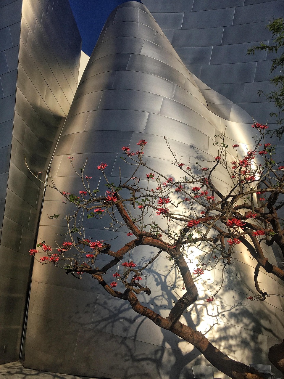 楊金柱最新動(dòng)態(tài)，新旅程啟程，未來展望揭曉