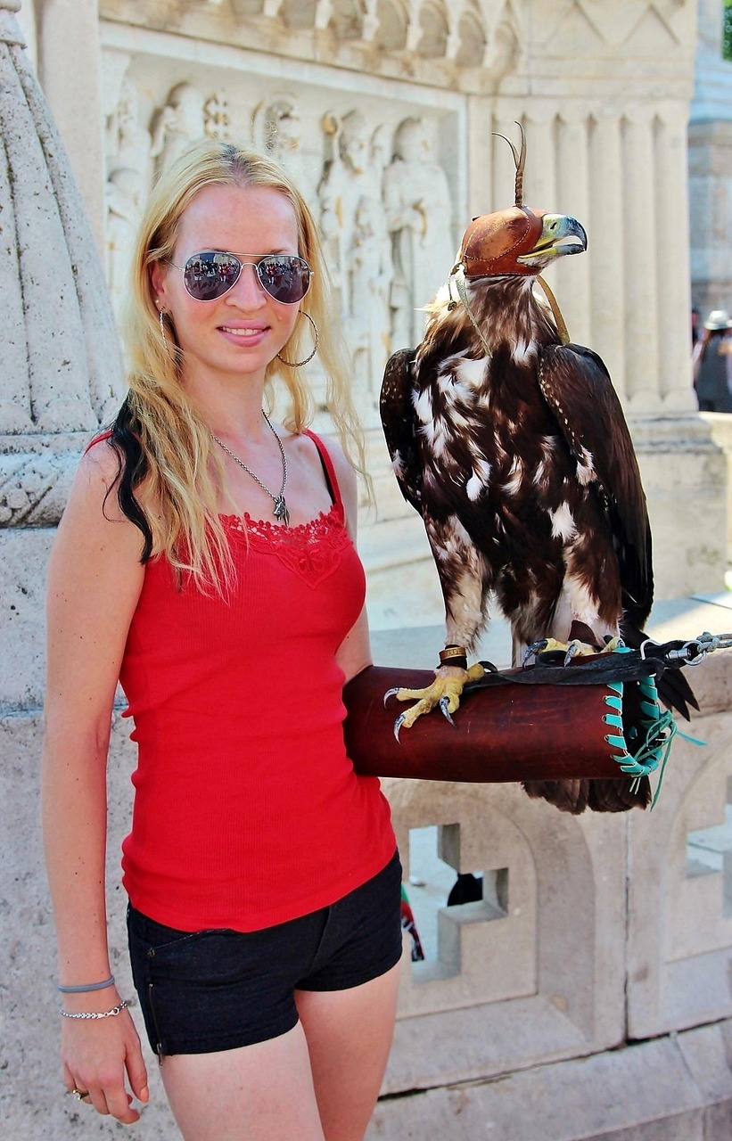 倫敦最新疫情動(dòng)態(tài)，挑戰(zhàn)、應(yīng)對(duì)策略全面解析