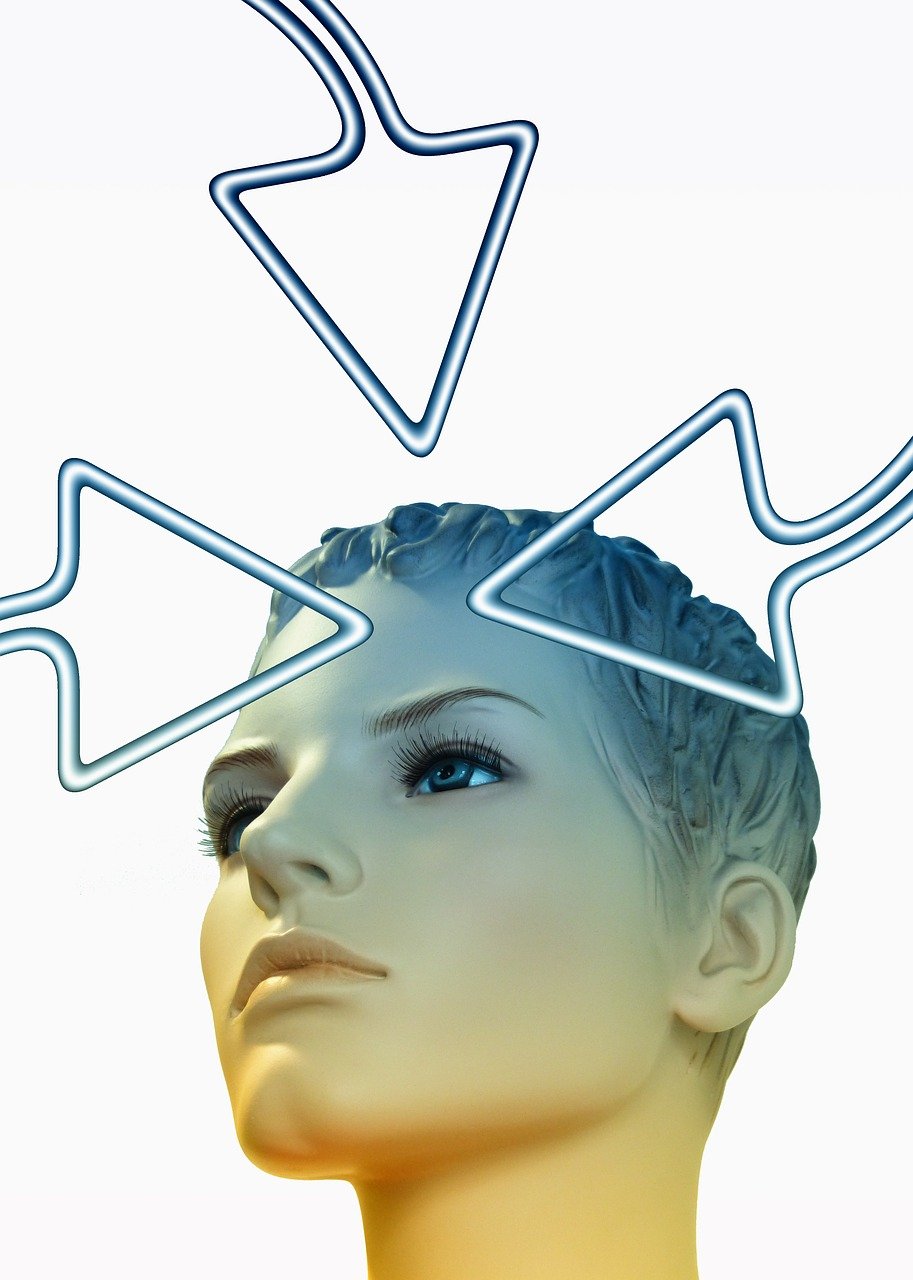 水井坊股價動態(tài)，市場走勢、影響因素及前景展望分析