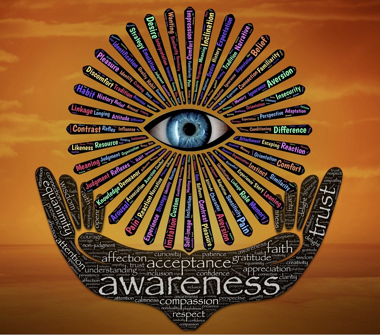 苦瓜網(wǎng)電影倫理片的探索、反思與啟示