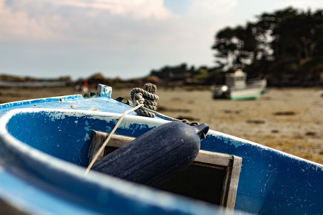 華山最新疫情動(dòng)態(tài)，全面應(yīng)對，守護(hù)家園安全