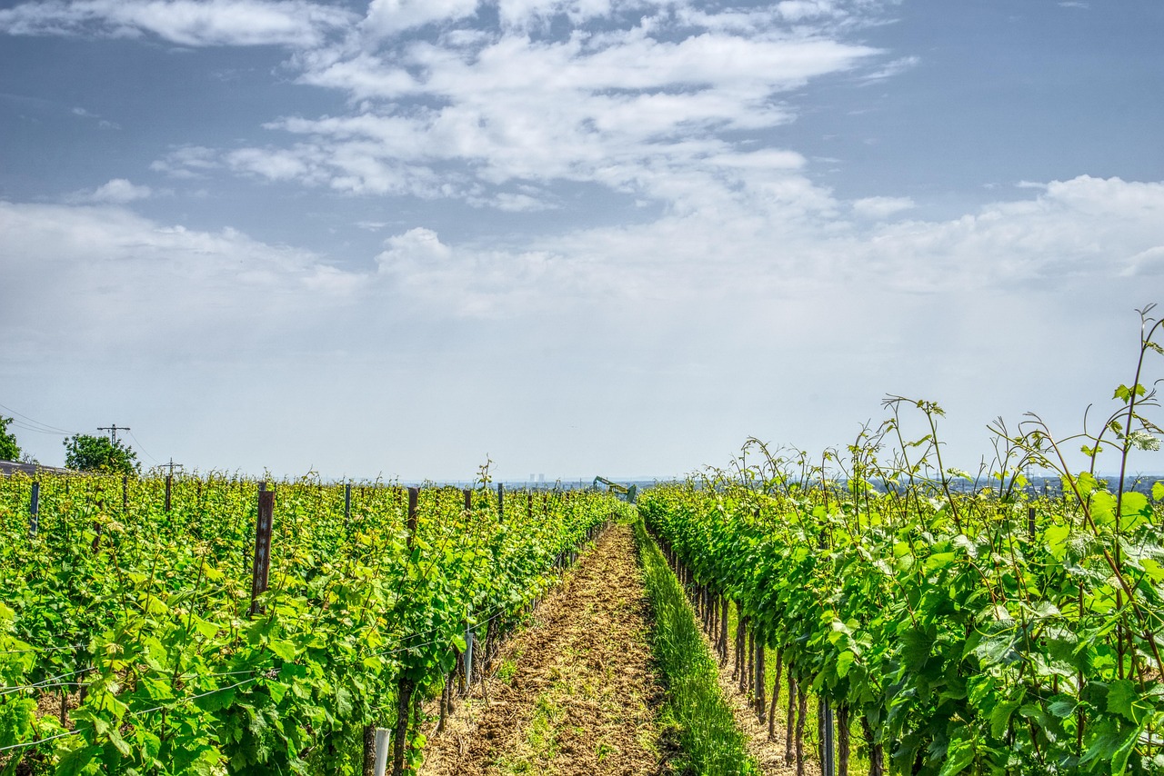 滄州龍岸清華最新動(dòng)態(tài)解析