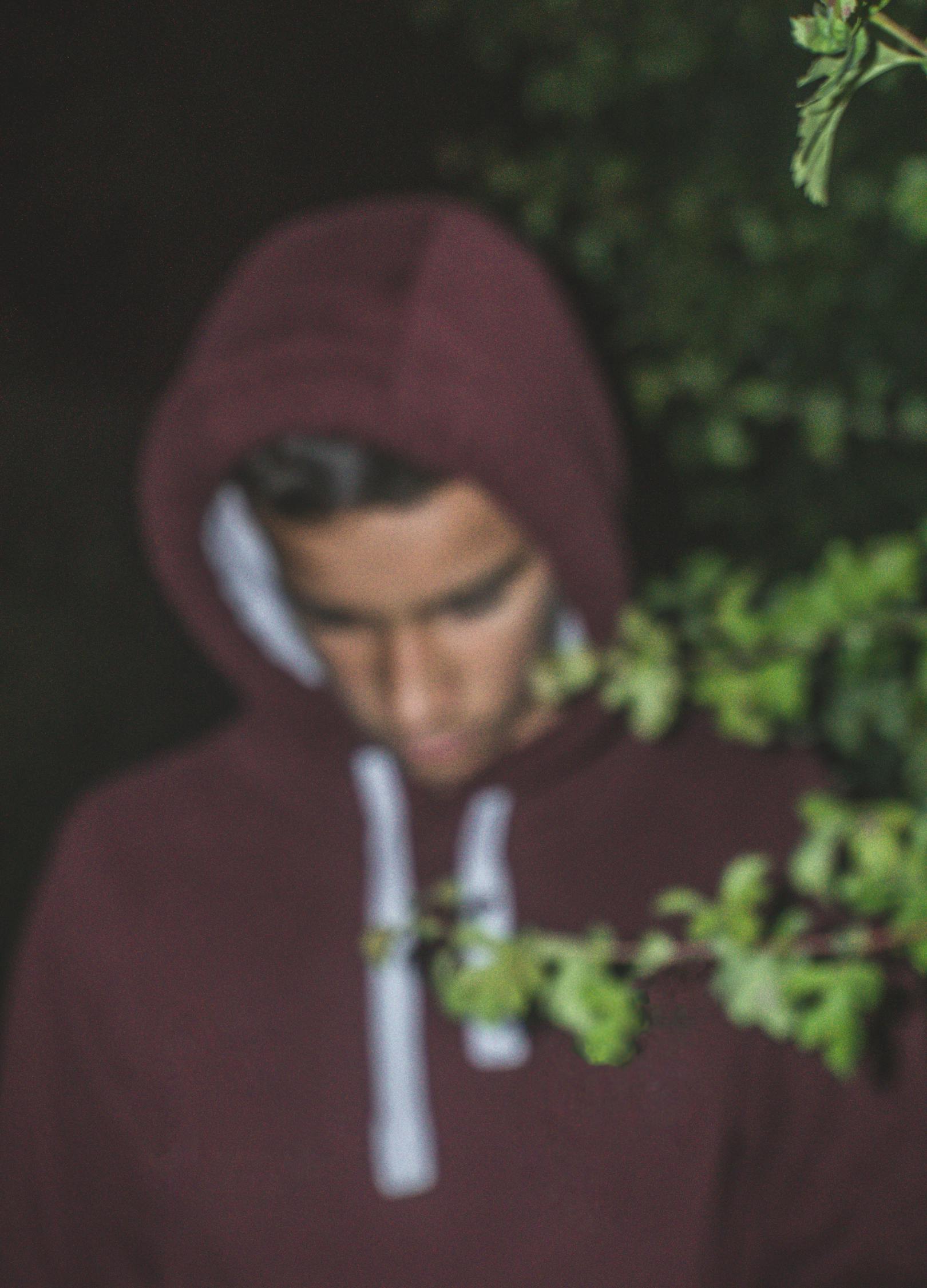 探索情感深邃世界，心尖情感最新篇章分享