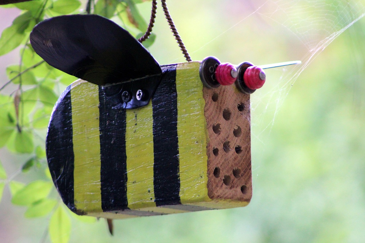 幼兒園自制教玩具比賽，激發(fā)創(chuàng)意，推動教育創(chuàng)新實踐