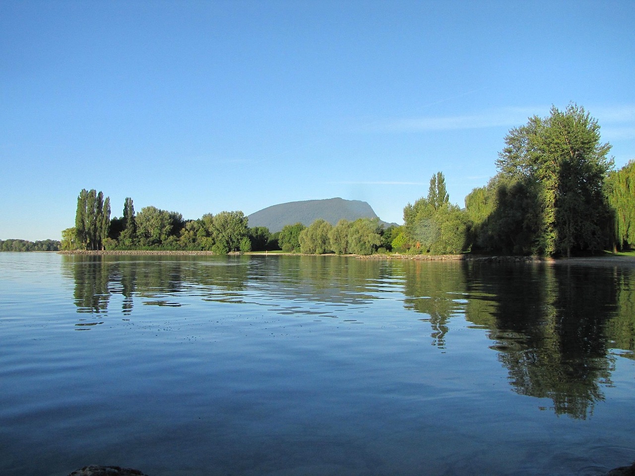 鄉(xiāng)愁大壯與林新篇章，探索鄉(xiāng)村發(fā)展的未來之路