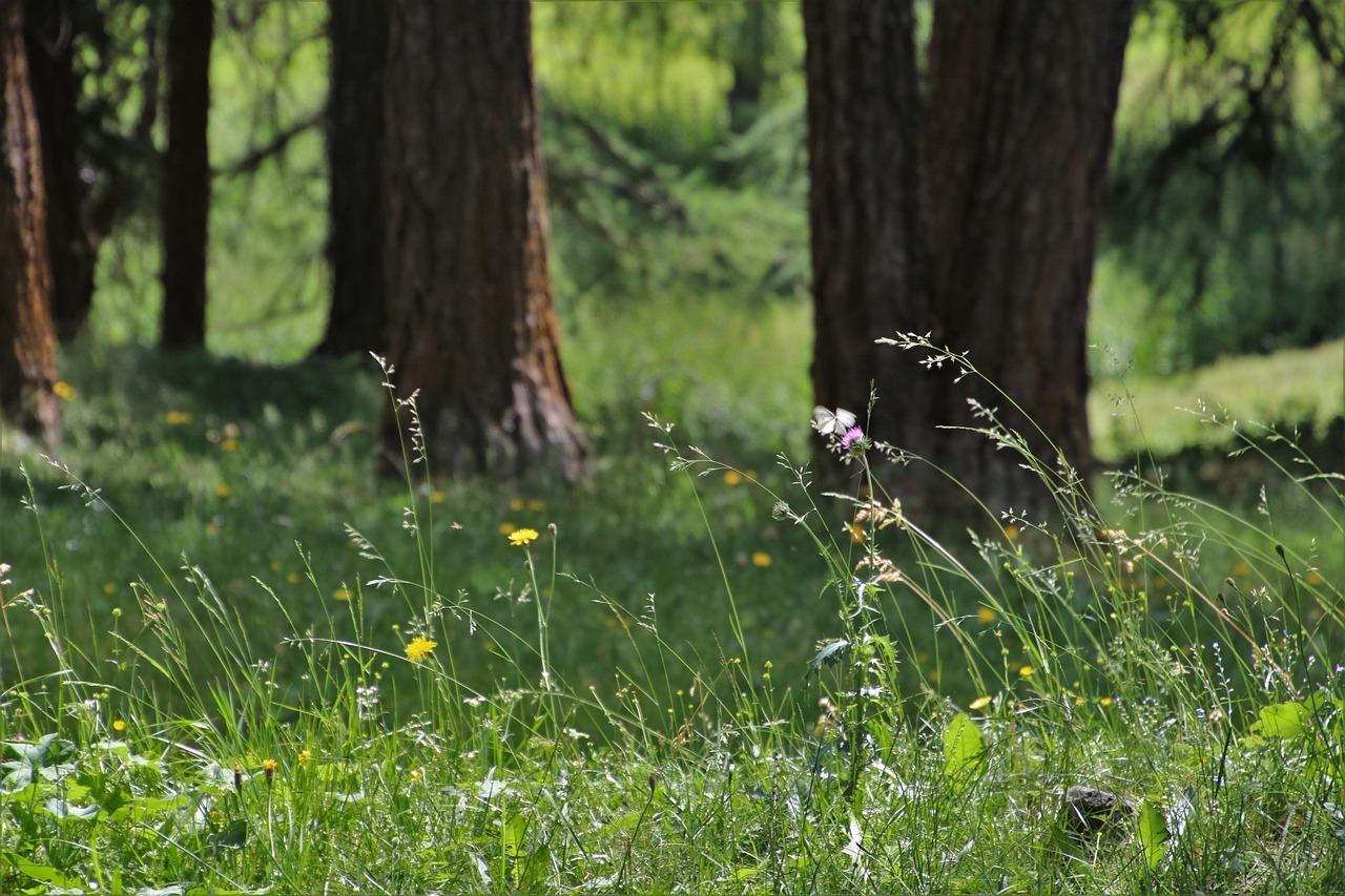 廣東人事調(diào)整最新動態(tài)，重塑地方領導格局，人事變革引領未來發(fā)展之路