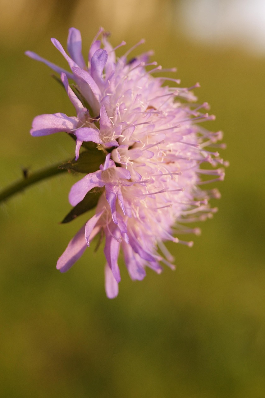 印中深化合作，共同發(fā)展的強(qiáng)勁勢頭最新動(dòng)態(tài)