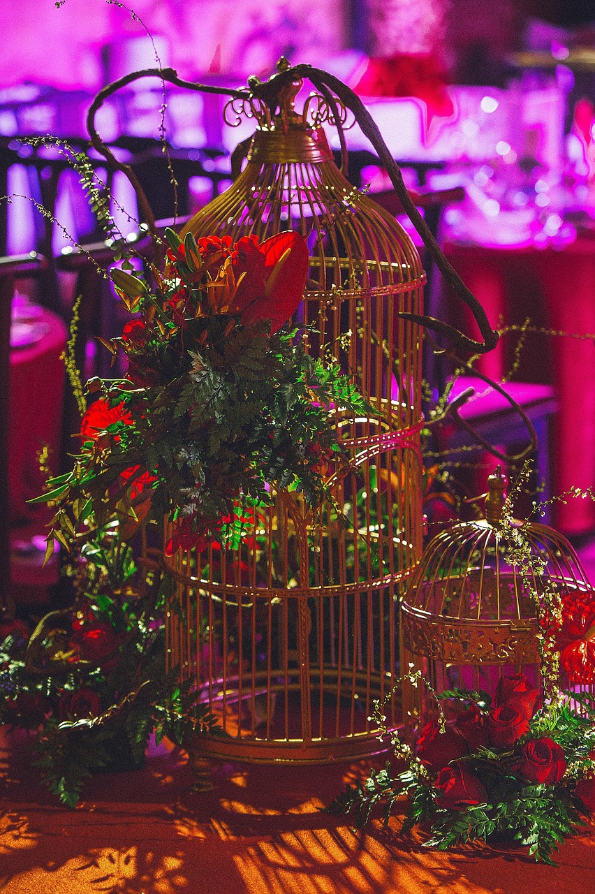 鬧婚新風(fēng)尚，重塑婚禮文化和諧與趣味之旅