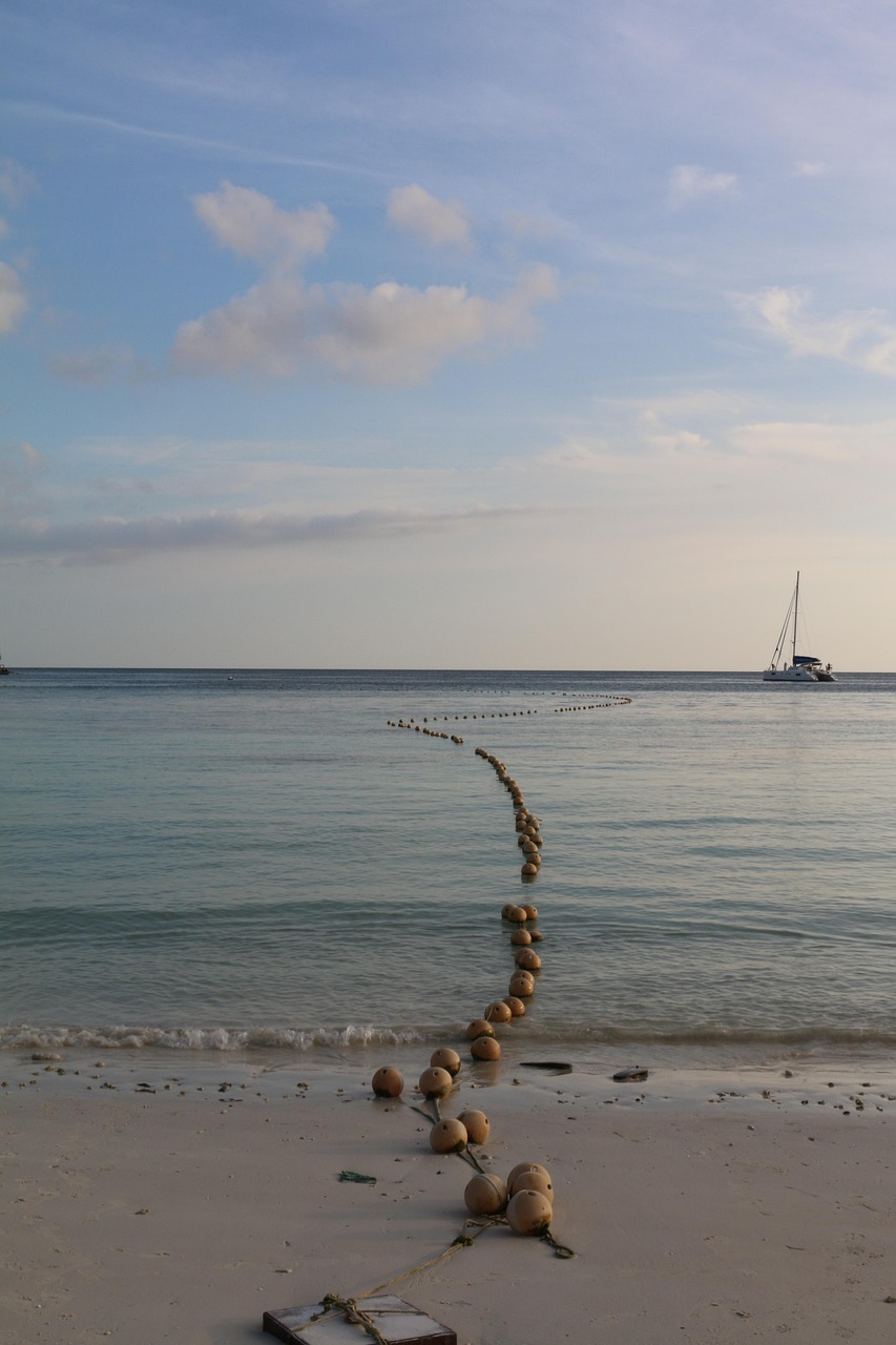 爺是那么黑 第13頁