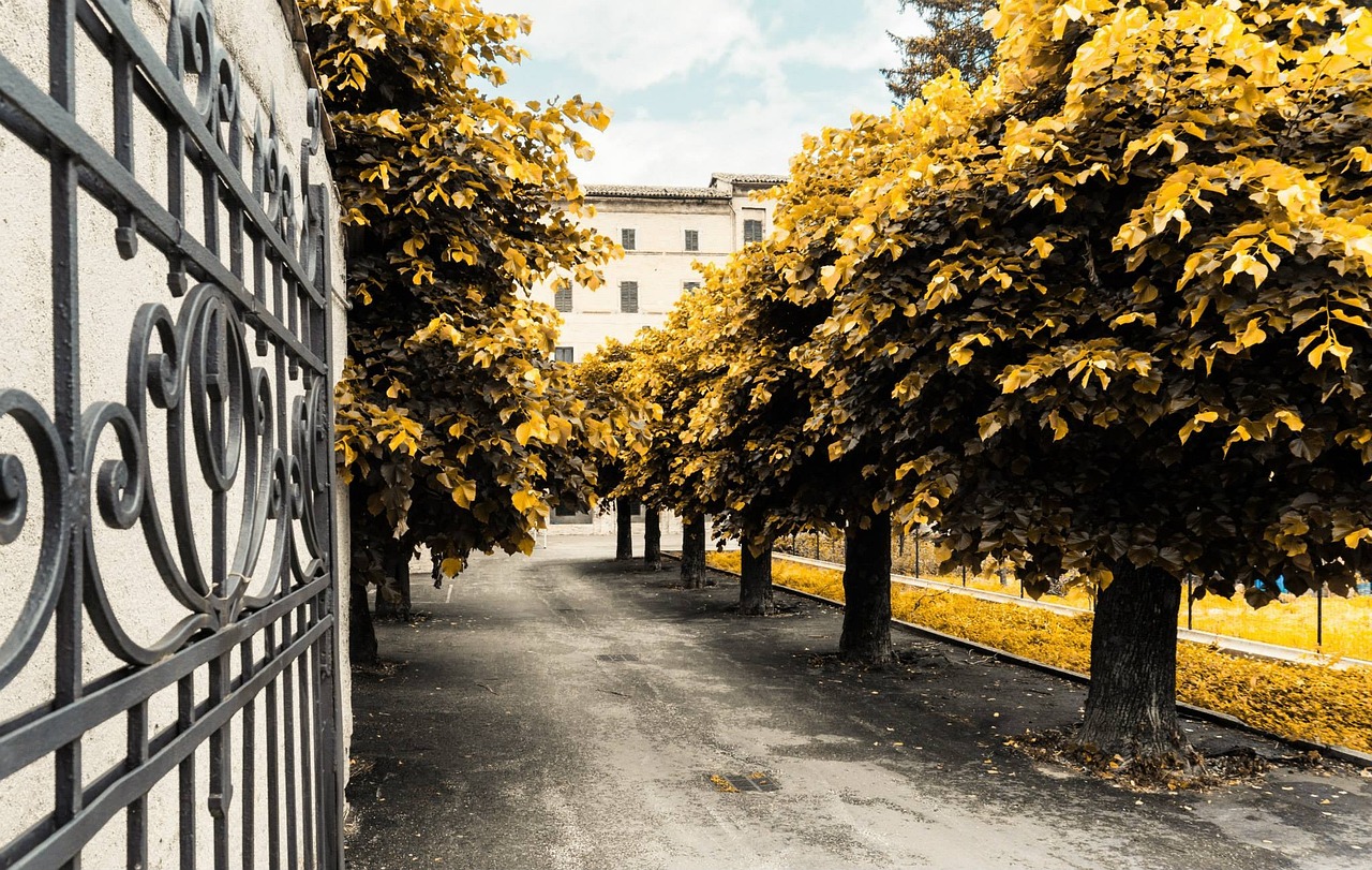 現(xiàn)代庭院設(shè)計風(fēng)尚，打造宜居生活空間的創(chuàng)新理念