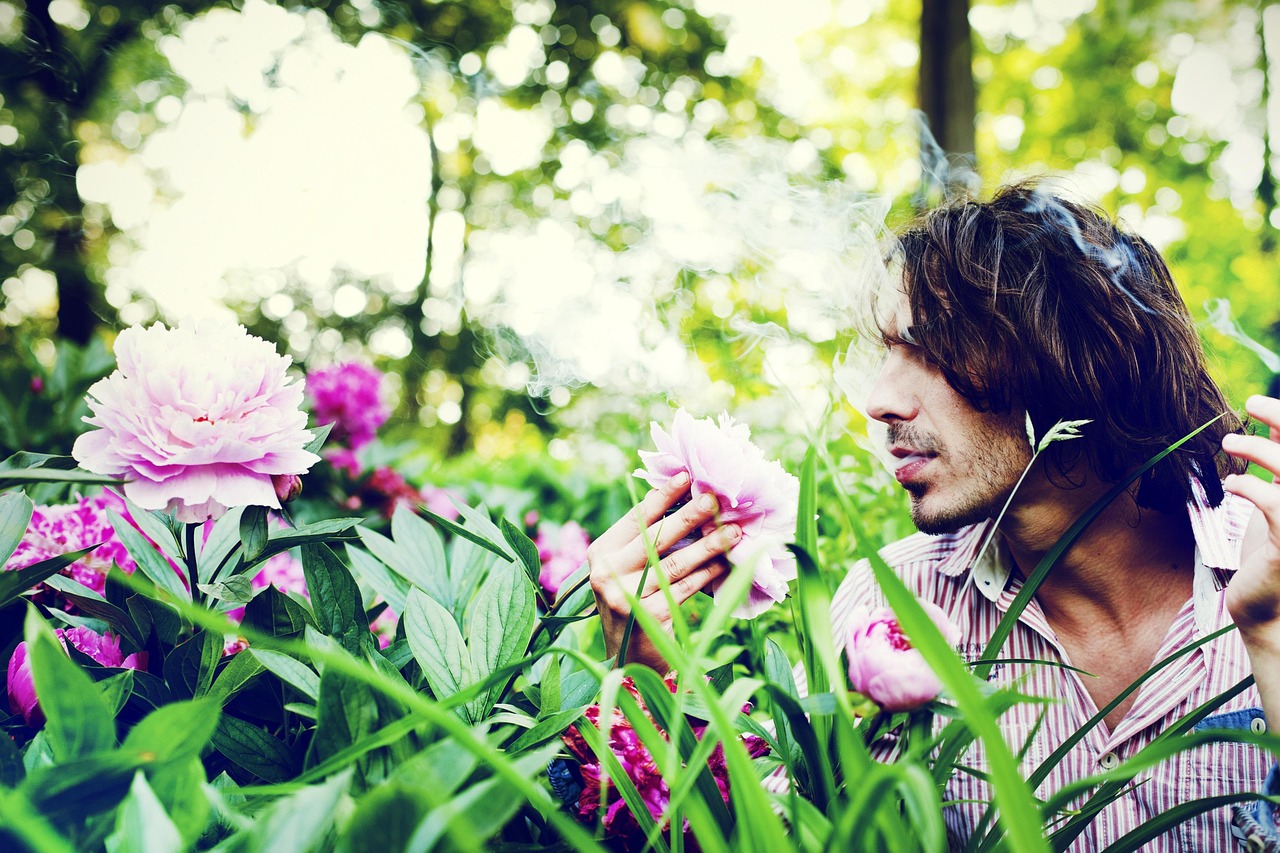 苗苗電影，銀幕到生活的藝術之旅探索