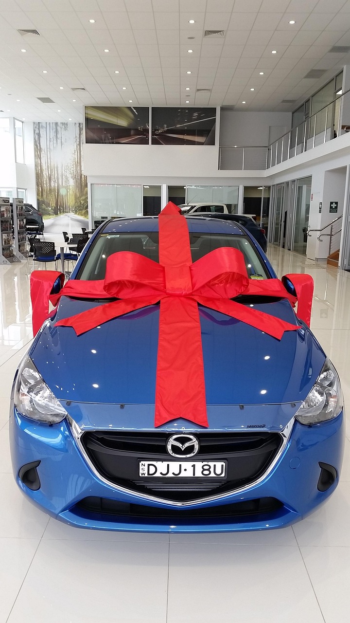 藍(lán)鳥車型上市日期揭秘，期待與驚喜的交匯時(shí)刻