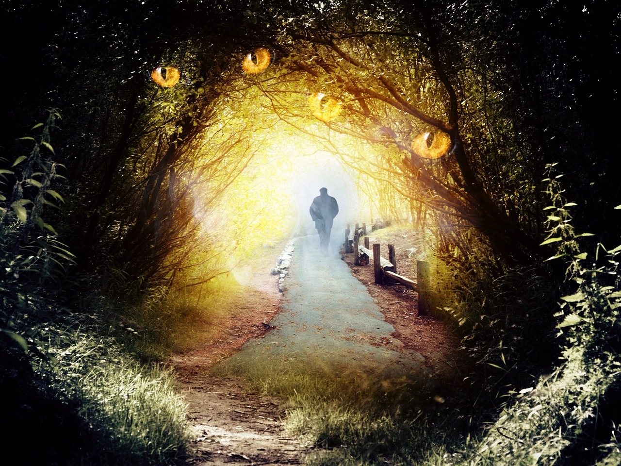 種鬼演員，探尋神秘角色背后的藝術魅力之旅