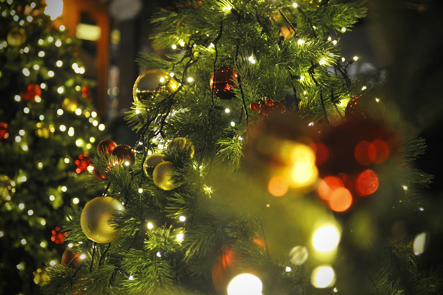 免費(fèi)動(dòng)漫圖片，探索動(dòng)漫世界的無(wú)盡之美