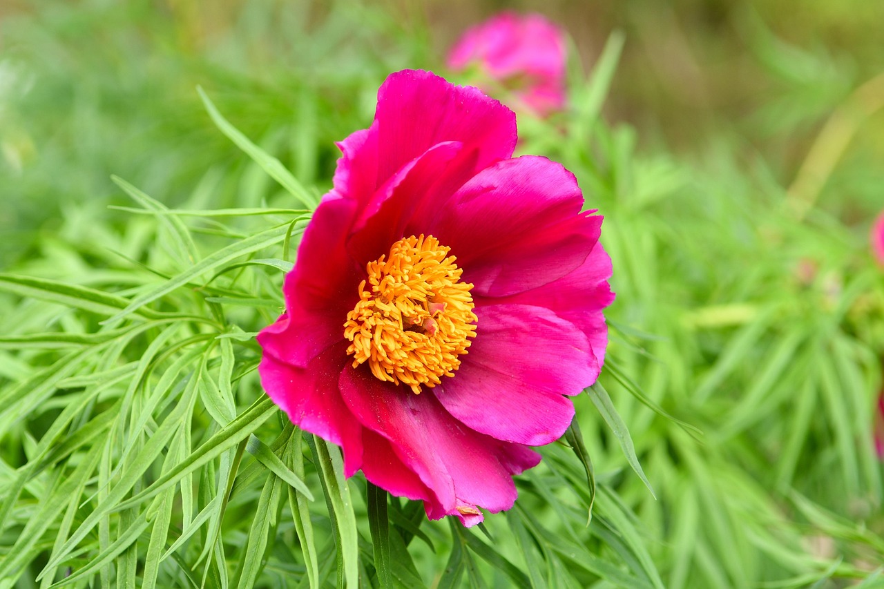 許昕賽場熱血奮斗，最新動態(tài)與榮耀時刻回顧