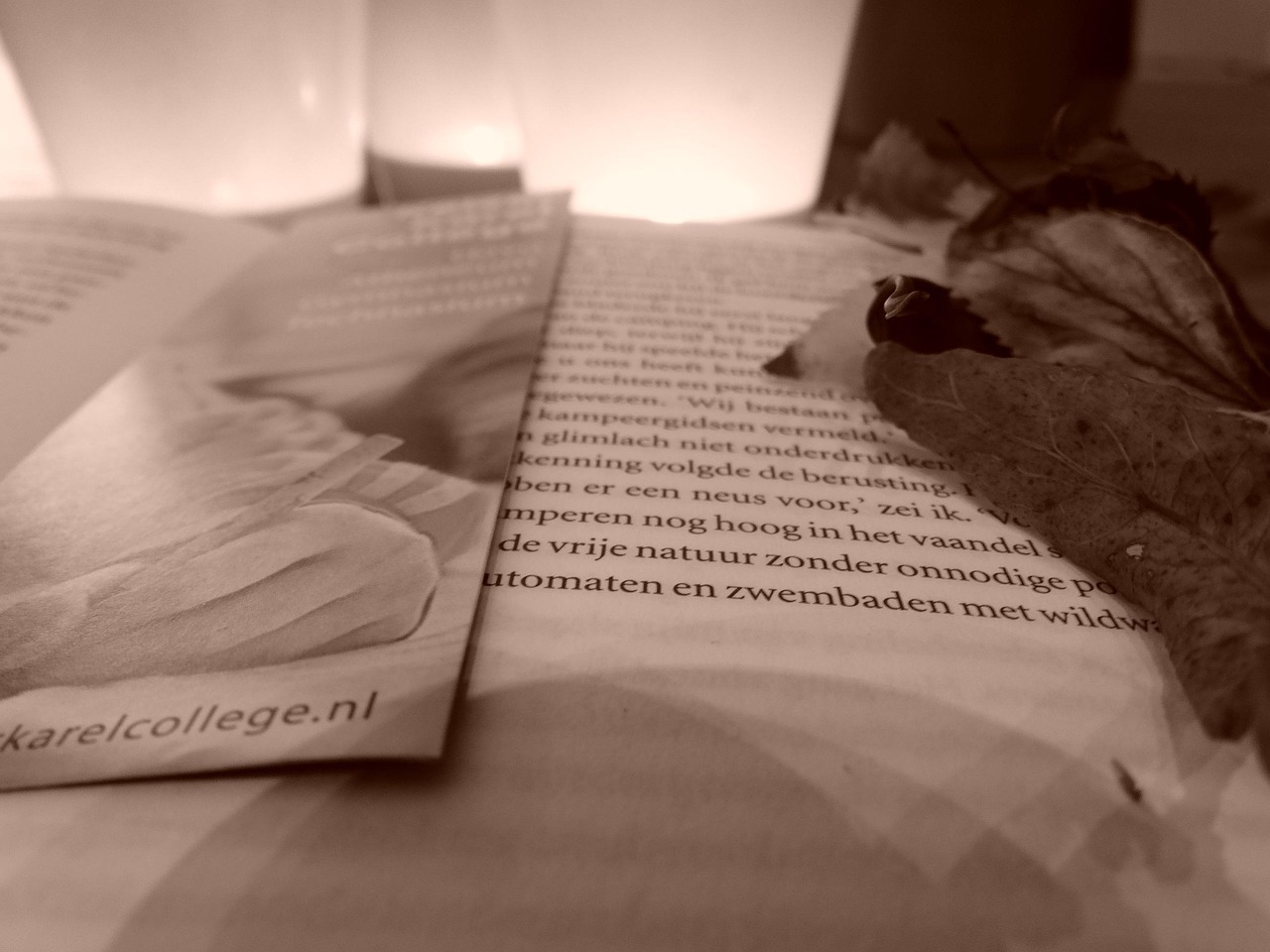 最新小說2017，探索文學(xué)的新疆界