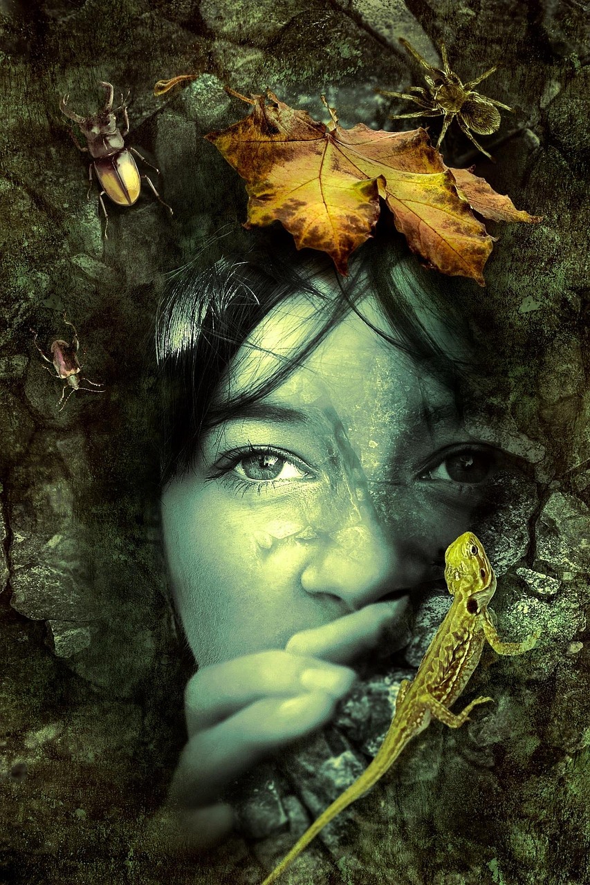 圣墟新篇章，揭開未知世界的神秘面紗