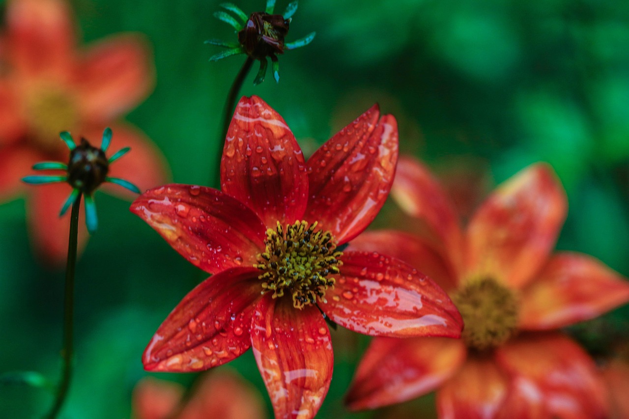 京山天地樓盤最新動態(tài)揭秘，未來城市生活的嶄新篇章