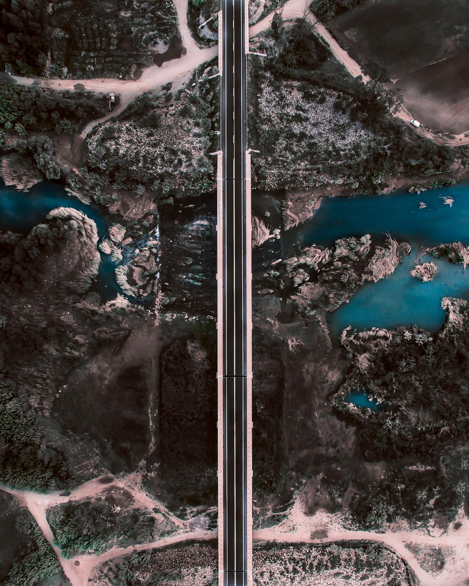 韓國電影保護者，幕后守護光影藝術的英雄