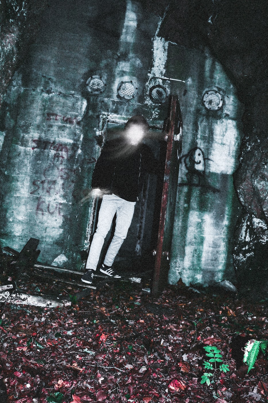 暗格秘章最新篇章揭秘未知奧秘探索之旅