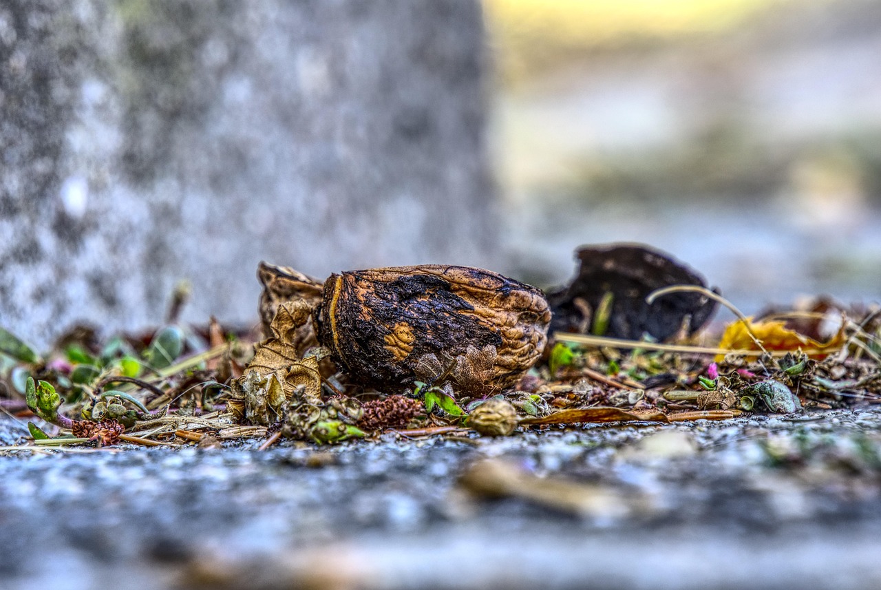 萬達(dá)大亞灣引領(lǐng)區(qū)域發(fā)展新篇章，最新動(dòng)態(tài)揭秘