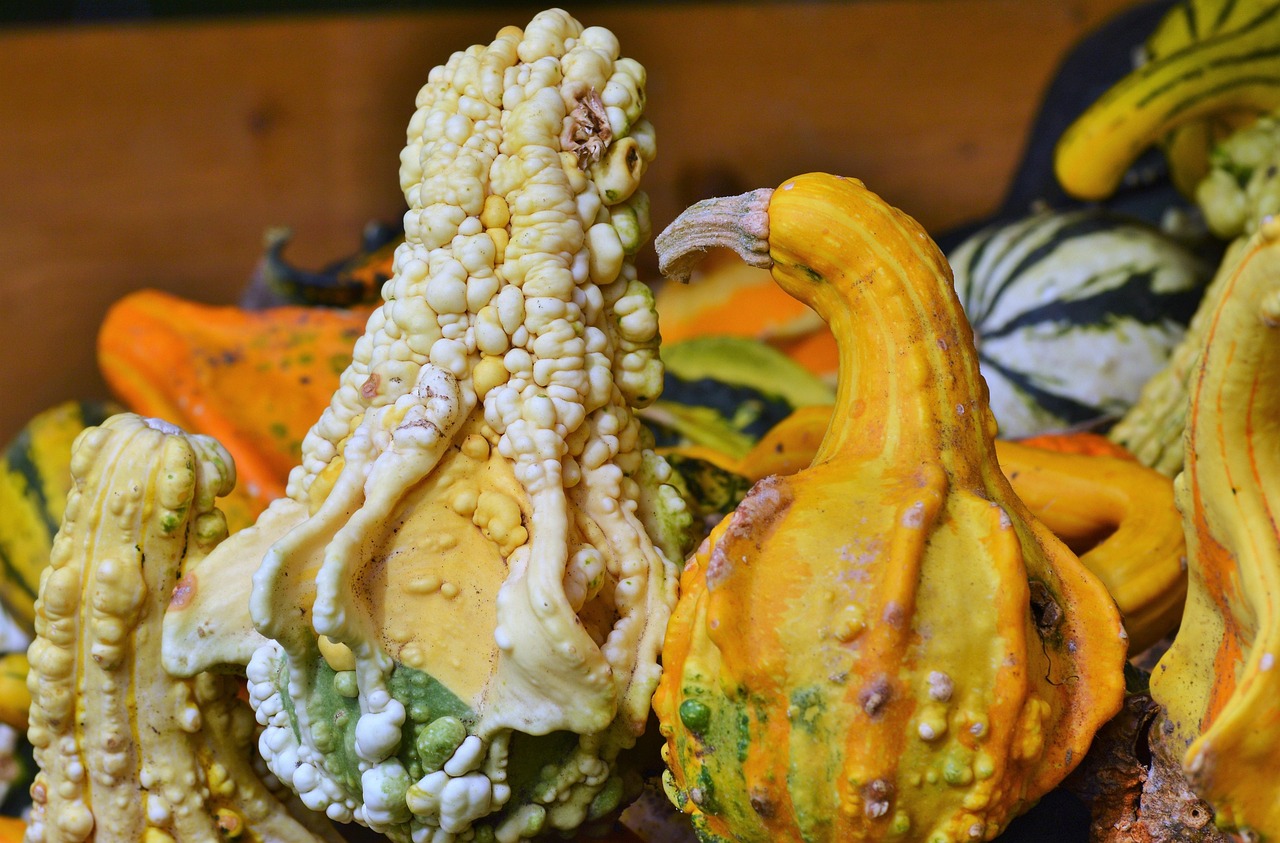 皮皮蝦上市季節(jié)，海鮮盛宴與美味狂歡開啟